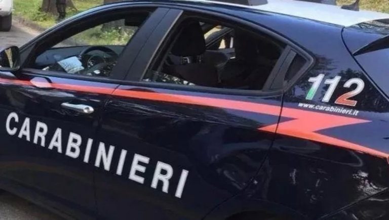 Incendio in un box, morti cinque cani nel Napoletano