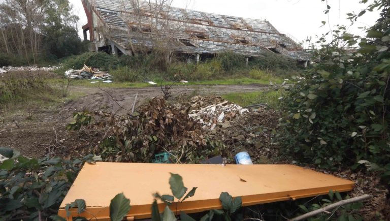 Napoli, c’era una volta il Palargento: monumento al degrado tra crolli, rovi e rifiuti