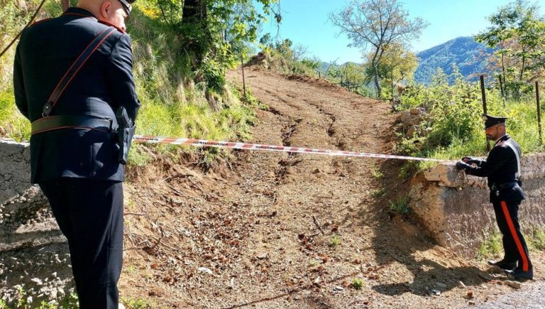 Parco dei Monti Lattari, case e stalle abusive: denunciata famiglia vicina ai clan