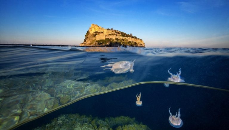 Le meduse e il Castello, la foto che racconta il Regno di Nettuno
