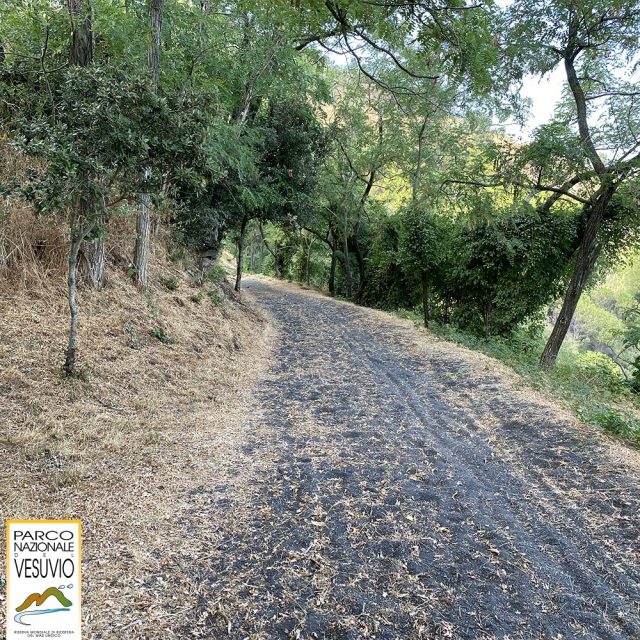 Riapre al pubblico il sentiero n° 6 del Parco Nazionale del Vesuvio “Lungo la Strada Matrone”