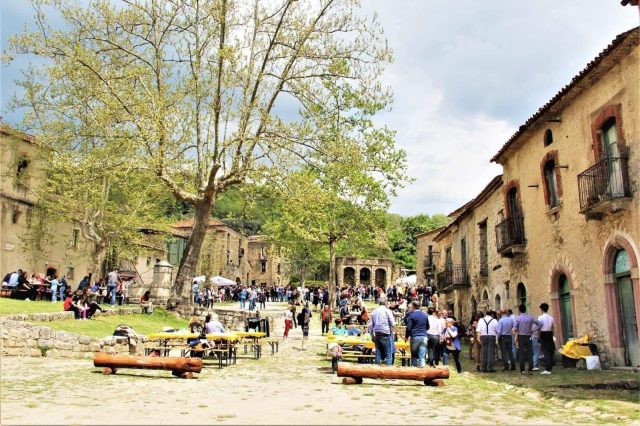 A Roscigno vecchia torna la Festa dell’Asparago Selvatico