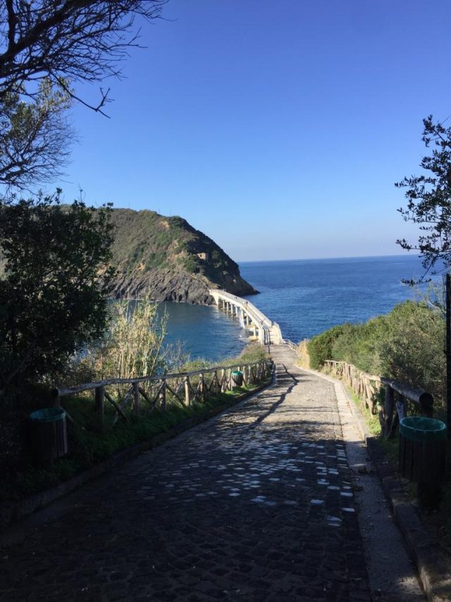L’Isola di Vivara a Procida riapre al pubblico dopo tanti anni: passeggiate e visite in un angolo di paradiso L’Isola di Vivara a Procida riapre al pubblico dopo tanti anni: passeggiate e visite in un angolo di paradiso