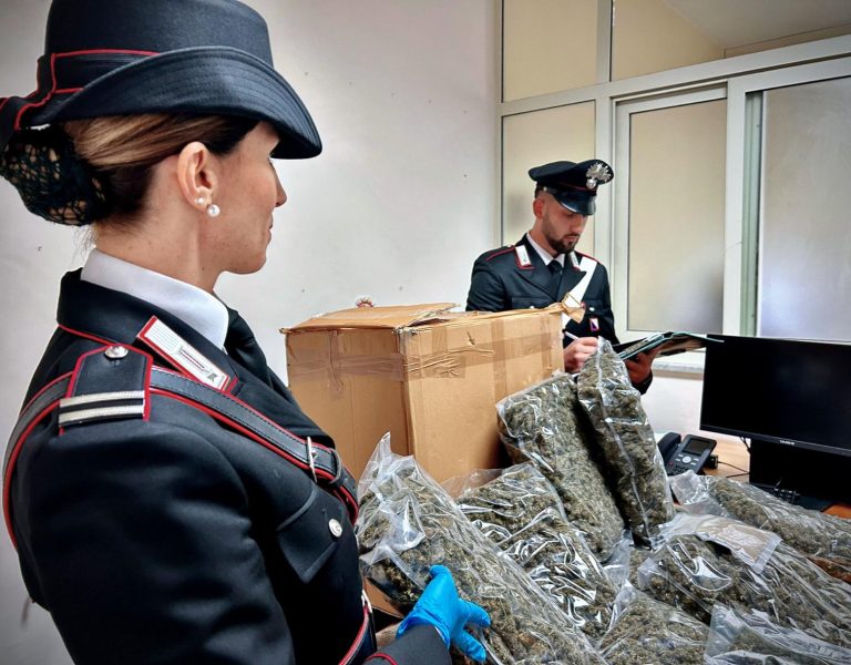 Casalinga riceve ‘per errore’ pacco con 10 chili di marijuana e chiama i carabinieri Casalinga riceve ‘per errore’ pacco con 10 chili di marijuana e chiama i carabinieri