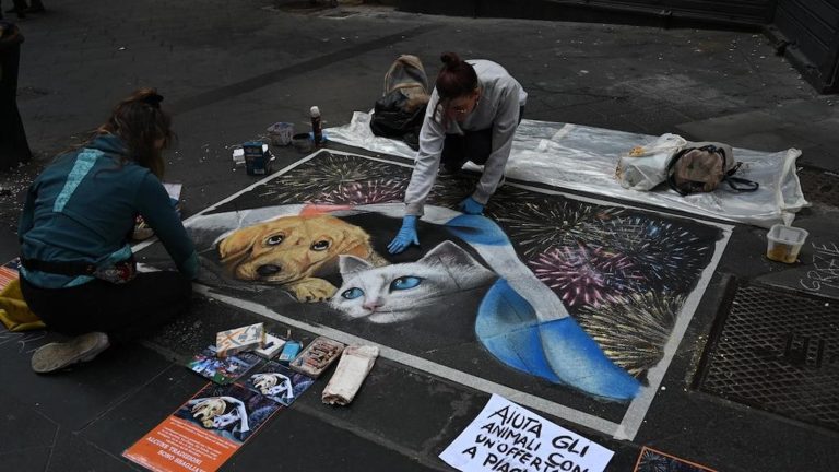 Madonnari: nel dipinto un cane e un gatto spaventati dai botti Madonnari: nel dipinto un cane e un gatto spaventati dai botti