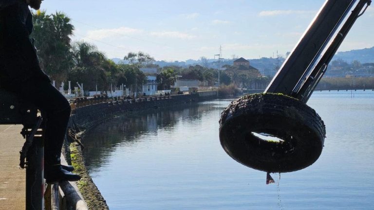 Via alla bonifica del Fusaro: dal lago spuntano pneumatici, canoe e vasi Via alla bonifica del Fusaro: dal lago spuntano pneumatici, canoe e vasi