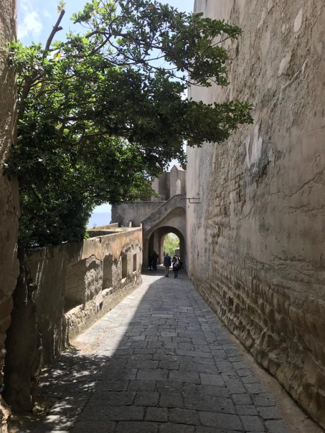 Eventi vicino Napoli e in Campania nel Weekend dal 29 febbraio al 3 marzo 2024 Eventi vicino Napoli e in Campania nel Weekend dal 29 febbraio al 3 marzo 2024