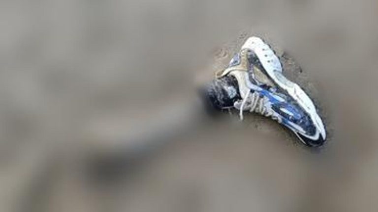 Ossa umane in spiaggia, dopo Paestum l’altro arto trovato a Capo Vaticano Ossa umane in spiaggia, dopo Paestum l’altro arto trovato a Capo Vaticano