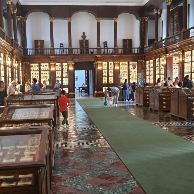 Aperture speciali dei Musei delle Scienze Naturali e Fisiche della Università Federico II per il Maggio dei Monumenti Aperture speciali dei Musei delle Scienze Naturali e Fisiche della Università Federico II per il Maggio dei Monumenti