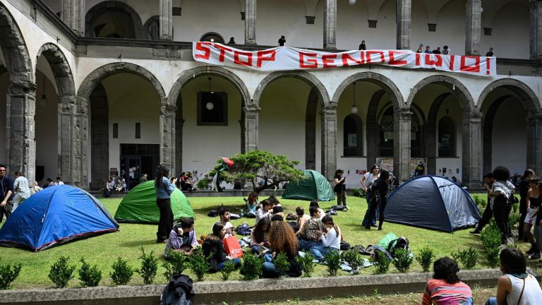 Federico II, il rettore: “Ok al dialogo, gli studenti dicano la loro sulla guerra” Federico II, il rettore: “Ok al dialogo, gli studenti dicano la loro sulla guerra”