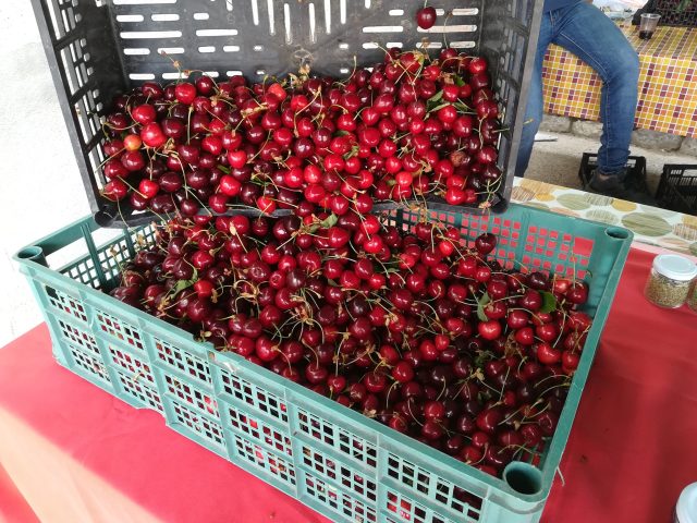Sagre e Feste in Campania: cosa fare nel weekend dal 6 al 9 giugno 2024