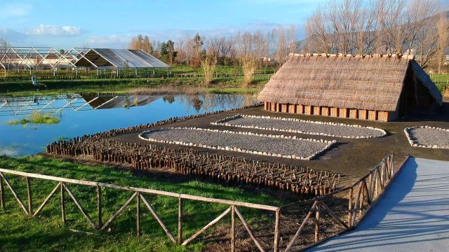 Visita Longola: La Venezia di 3500 Anni fa Vicino a Pompei | Campania da Scoprire Visita Longola: La Venezia di 3500 Anni fa Vicino a Pompei | Campania da Scoprire