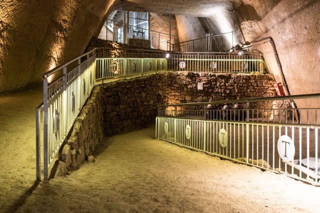 4 visite guidate a Napoli: cosa fare nel weekend dall’11 al 14 luglio 2024 4 visite guidate a Napoli: cosa fare nel weekend dall’11 al 14 luglio 2024