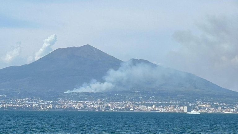 Vesuvio, nuovo incendio. Partito da Torre del Greco, le fiamme si estendono rapidamente: due famiglie già evacuate Vesuvio, nuovo incendio. Partito da Torre del Greco, le fiamme si estendono rapidamente: due famiglie già evacuate