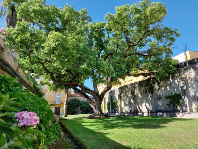Il Giardino Segreto della Reggia di Portici: serata con visita guidata e performance musicale