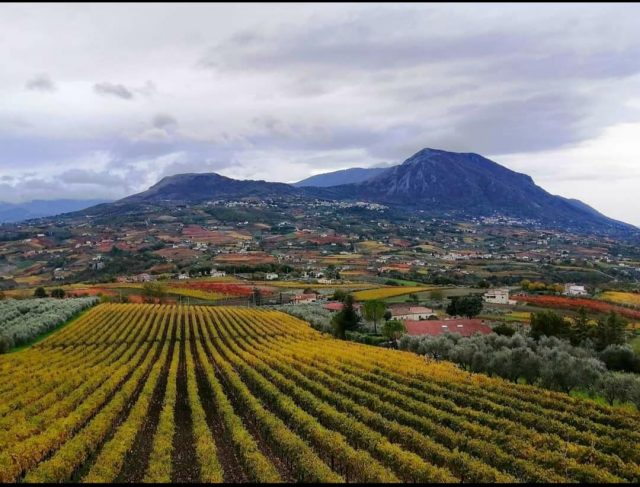 Vinestate 2024: 23 Cantine e Degustazioni nel Borgo di Torrecuso