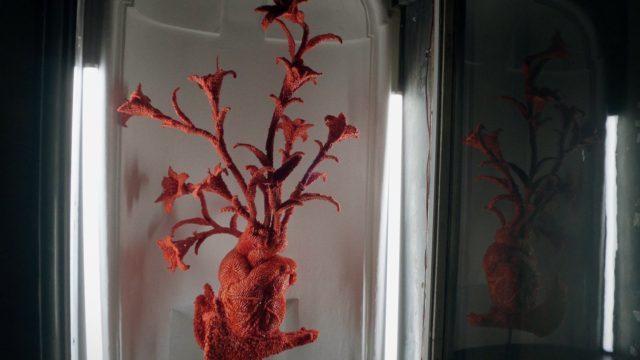 ArteCinema 2024 a Napoli: film gratis sull’arte contemporanea dal 16 al 20 ottobre ArteCinema 2024 a Napoli: film gratis sull’arte contemporanea dal 16 al 20 ottobre