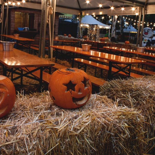 Giochi di Zucca alla Mostra d’Oltremare: tornano a Napoli le zucche di Halloween Giochi di Zucca alla Mostra d’Oltremare: tornano a Napoli le zucche di Halloween