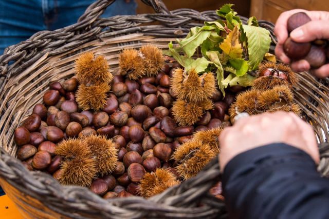 Sagra della Castagna e del Pecorino Vitulanese: 4 giorni di Tradizione e Sapori a Vitulano