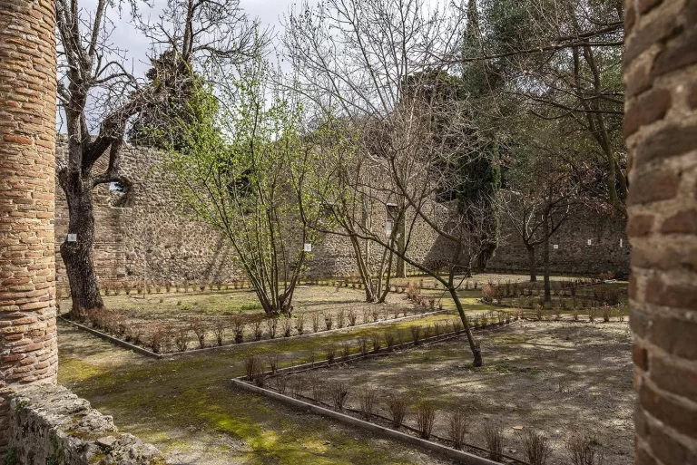 A Pompei apre al pubblico la casa dell’Orto Botanico A Pompei apre al pubblico la casa dell’Orto Botanico