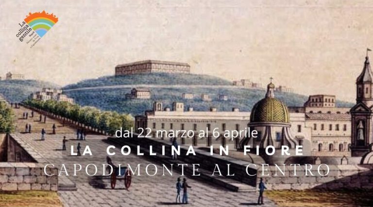 Alla scoperta delle pendici della Collina Gentile