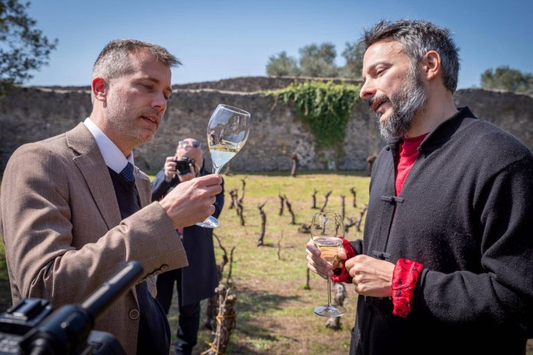 Arriva l’archeo-vino, tra i ruderi di Pompei alleanza tra viticoltura e storia Arriva l’archeo-vino, tra i ruderi di Pompei alleanza tra viticoltura e storia