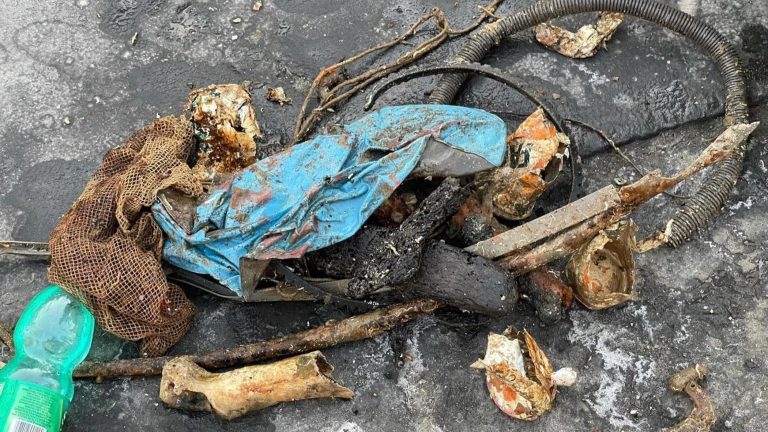 Stop ai rifiuti in mare, a Sorrento patto tra Comune e pescatori Stop ai rifiuti in mare, a Sorrento patto tra Comune e pescatori