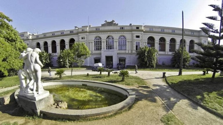Napoli stanziati 3,4 milioni di euro per la stazione zoologica Anton Dohrn Napoli stanziati 3,4 milioni di euro per la stazione zoologica Anton Dohrn