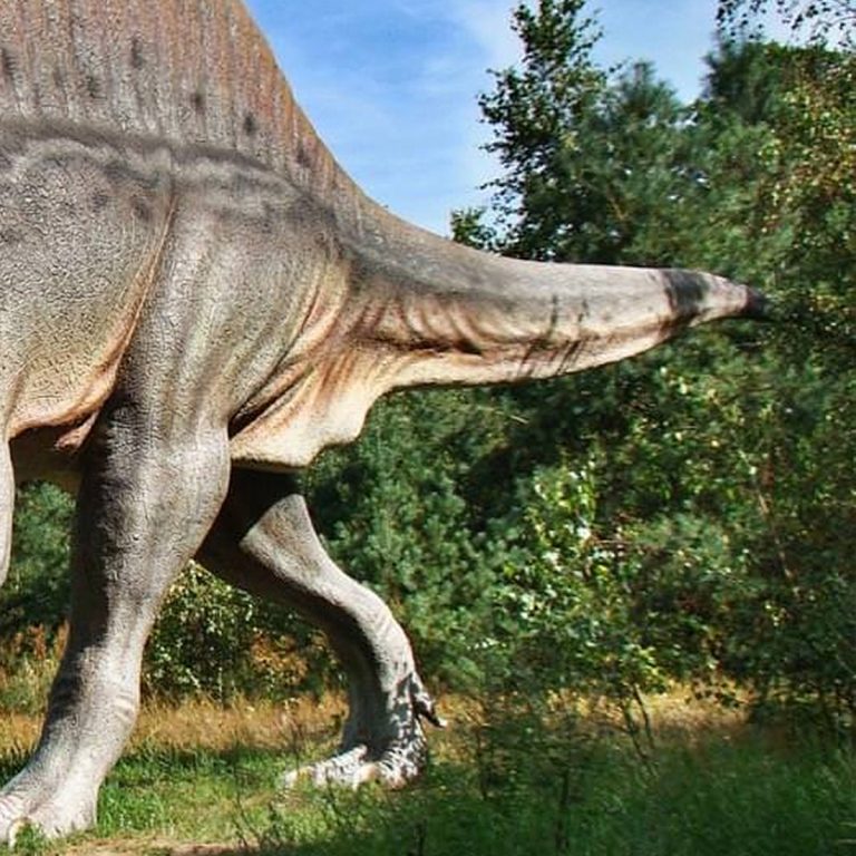 Dinosaurs Experience alla Mostra d’Oltremare: viaggio nel tempo tra animali a grandezza naturale