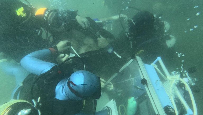 Nel mare di Procida analisi del sangue “subacquee”: “Ecco cosa accade al nostro corpo sott’acqua” Nel mare di Procida analisi del sangue “subacquee”: “Ecco cosa accade al nostro corpo sott’acqua”