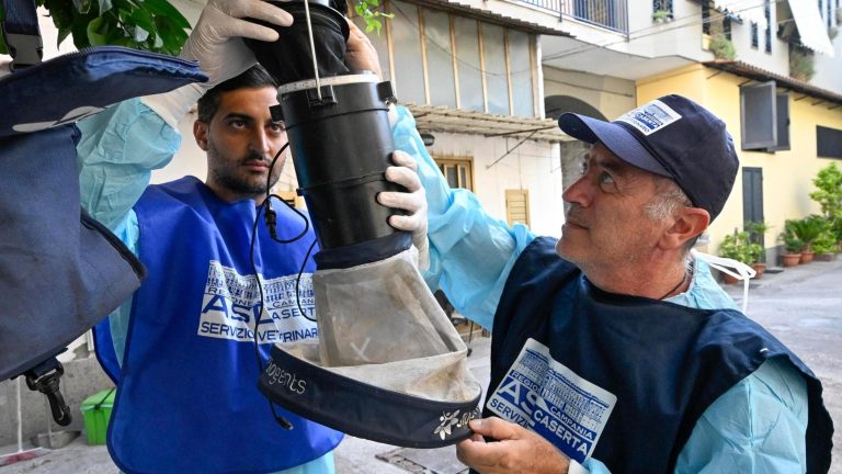 West Nile, altri due anziani morti, Asl Caserta: indagine epidemiologica