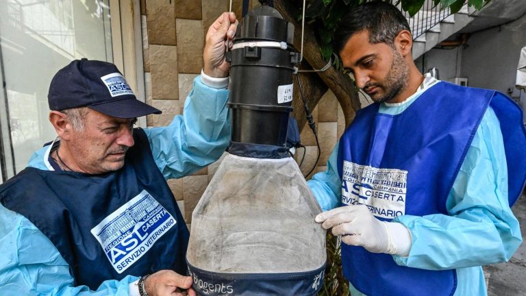 West Nile, terza vittima del virus in Campania: scattano disinfestazioni e trappole