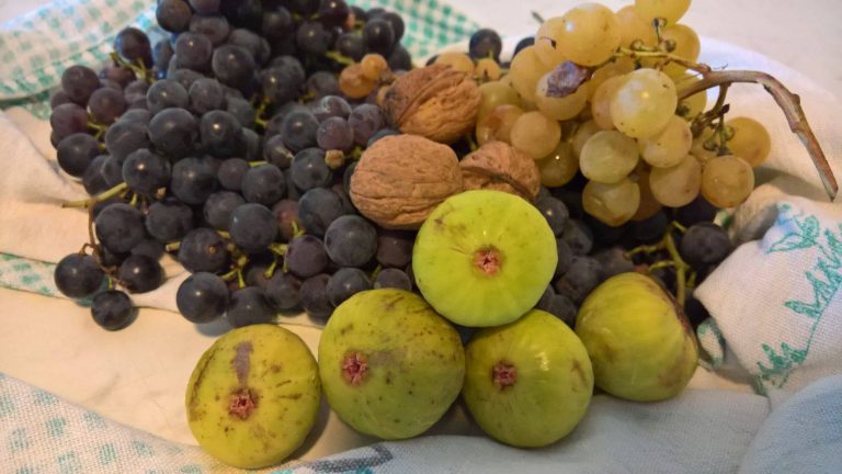 Ritorna la bella festa del buon Fico Bianco del Cilento a Giungano
